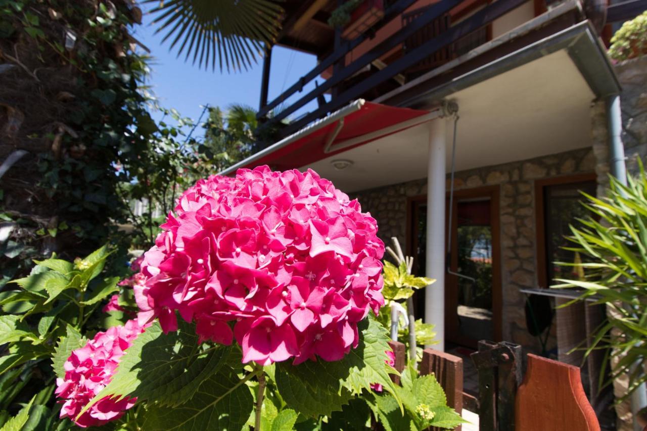 Apartment Paulina Cres Exterior photo